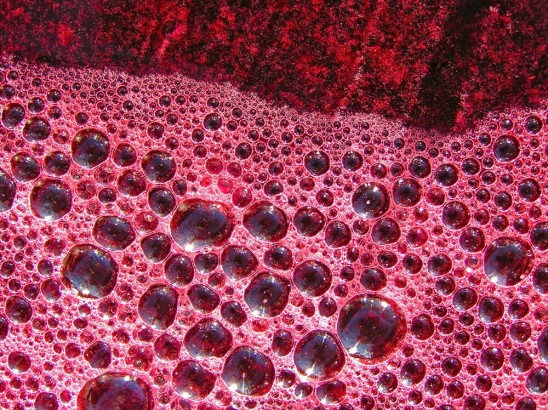 Fermentation - a catalyst for valuable change