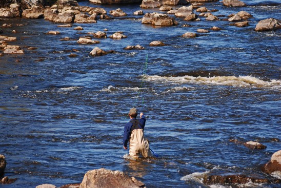 fly fishing