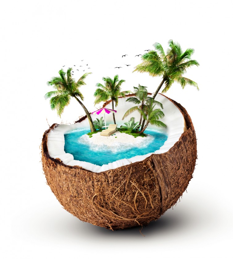 Pleasure Island